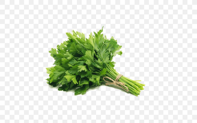 Dish Herb Parsley Root Vegetable Food, PNG, 514x514px, Dish, Celery, Coriander, Dried Fruit, Food Download Free