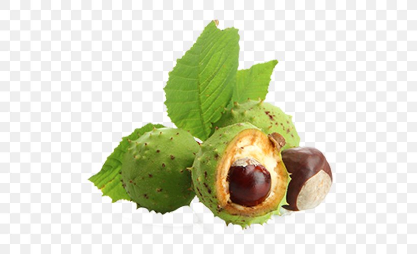 European Horse-chestnut Aescin Varicose Veins Food, PNG, 500x500px, European Horsechestnut, Aescin, Buckeyes, Chestnut, Extract Download Free