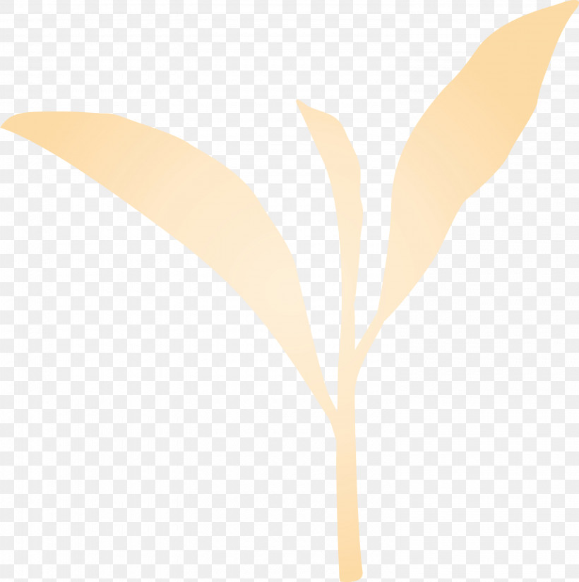 Leaf Plant Flower Tree Twig, PNG, 2980x3000px, Tea Leaves, Flower, Leaf, Paint, Plant Download Free