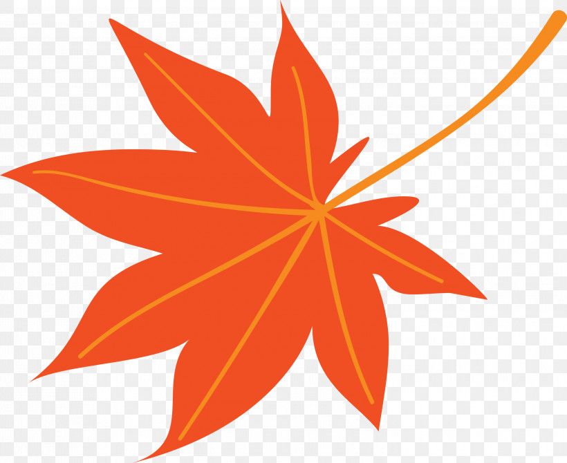 Autumn Leaf Colourful Foliage Colorful Leaves, PNG, 2999x2451px, Autumn Leaf, Colorful Leaf, Colorful Leaves, Colourful Foliage, Icon Design Download Free