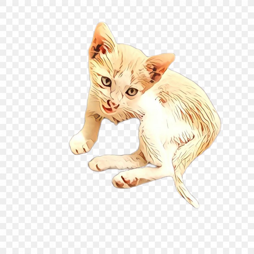 Cat Small To Medium-sized Cats Kitten Whiskers Drawing, PNG, 2000x2000px, Cartoon, Cat, Drawing, Fawn, Kitten Download Free