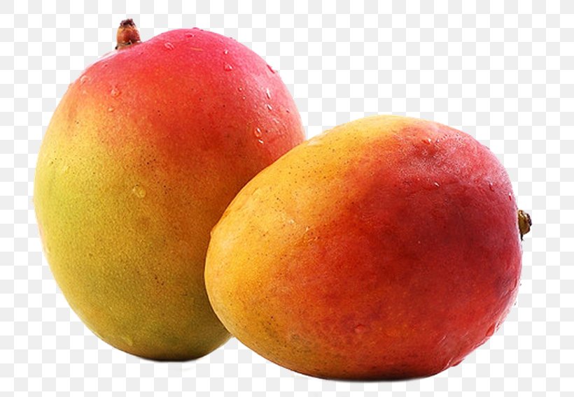 Mango Fruit, PNG, 800x568px, Mango, Alphonso, Apple, Apricot, Data Download Free