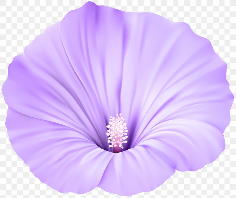 Violet Flower Clip Art, PNG, 7000x5884px, Flower, Close Up, Flowering Plant, Herbaceous Plant, Hibiscus Download Free