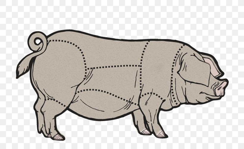 Domestic Pig Cattle Cut Of Pork, PNG, 800x500px, Pig, Animal Figure, Beef, Butcher, Canidae Download Free