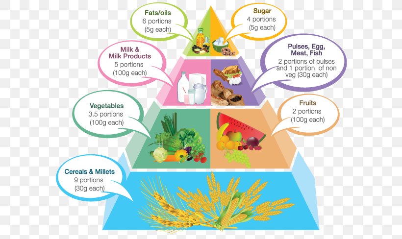 Food Pyramid Vegetarian Cuisine Pregnancy Healthy Eating Pyramid, PNG, 600x488px, Food Pyramid, Area, Diabetes Mellitus, Diagram, Diet Download Free