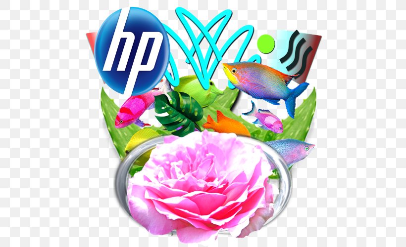 Garden Roses Hewlett-Packard Cut Flowers Floral Design, PNG, 500x500px, Garden Roses, Cache, Cut Flowers, Disk Array Controller, Floral Design Download Free