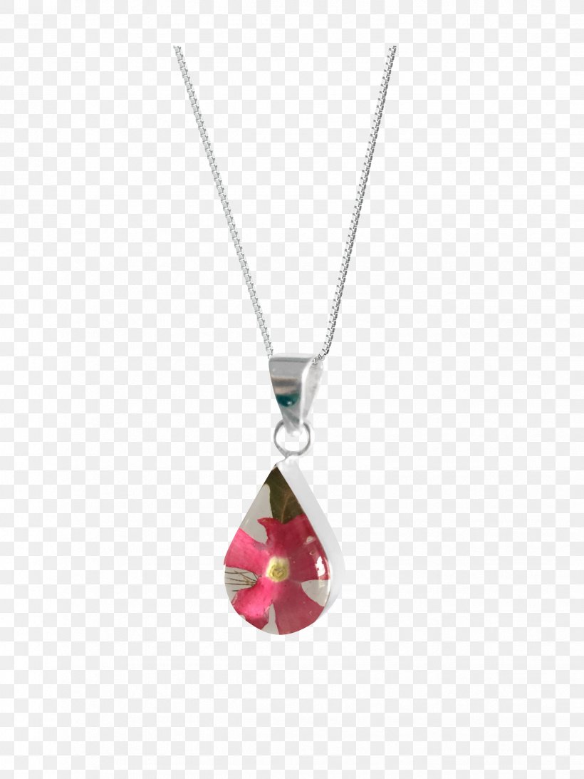 Jewellery Necklace Charms & Pendants Clothing Accessories Locket, PNG, 2448x3264px, Jewellery, Body Jewellery, Body Jewelry, Charms Pendants, Clothing Accessories Download Free