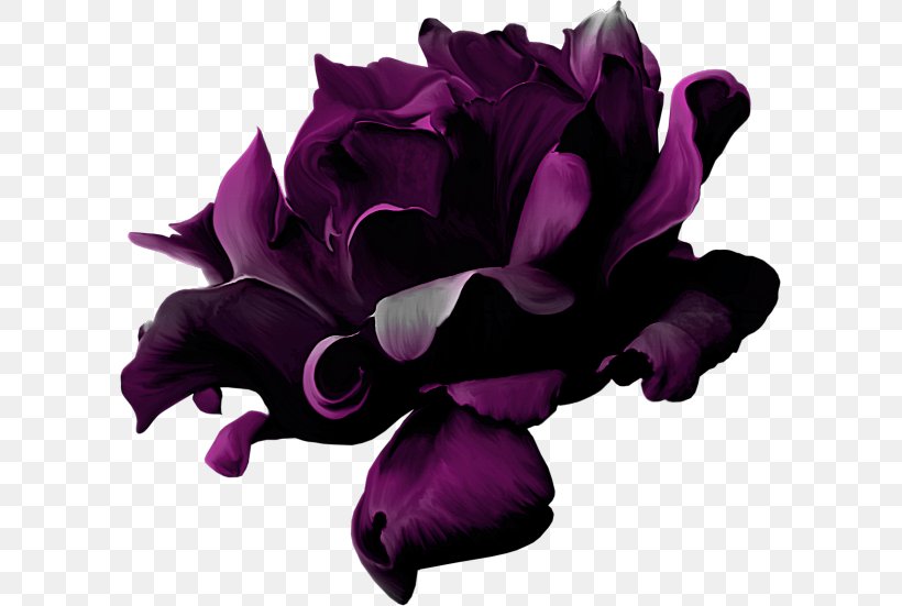 Purple Violet Flower, PNG, 601x551px, Purple, Blue, Cut Flowers, Designer, Dress Download Free