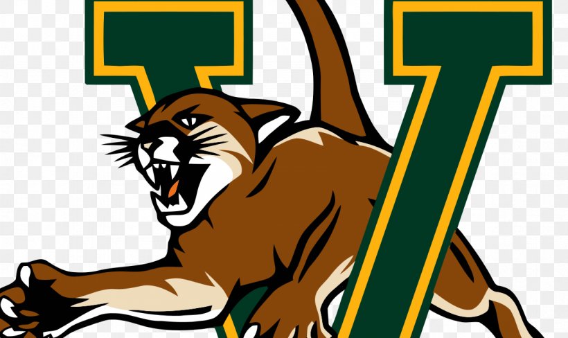 University Of Vermont Vermont Catamounts Men's Basketball Albany Great Danes Men's Basketball Vermont Catamounts Men's Ice Hockey, PNG, 1181x704px, University Of Vermont, America East Conference, Art, Basketball, Big Cats Download Free