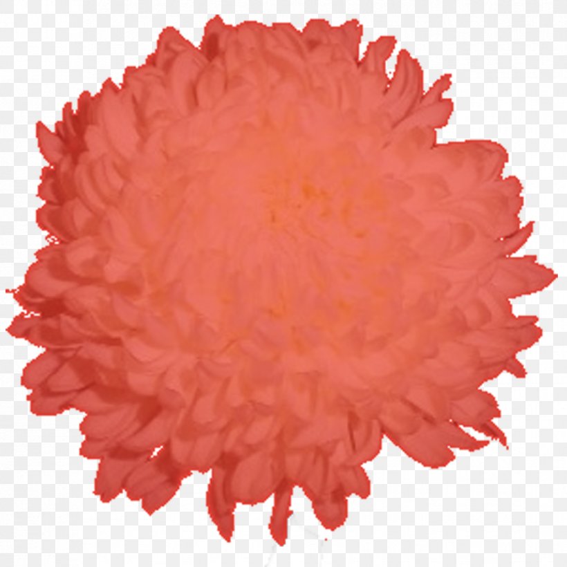 Petal Flower Chrysanthemum Peach Football, PNG, 928x928px, Petal, Chrysanthemum, Flower, Football, Orange Download Free