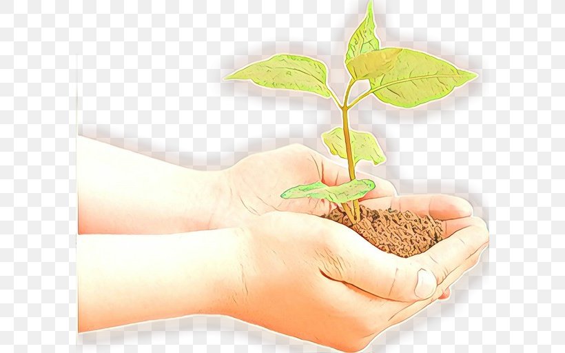 Hand Leaf Plant Tree Soil, PNG, 600x512px, Hand, Flower, Flowerpot, Leaf, Plant Download Free