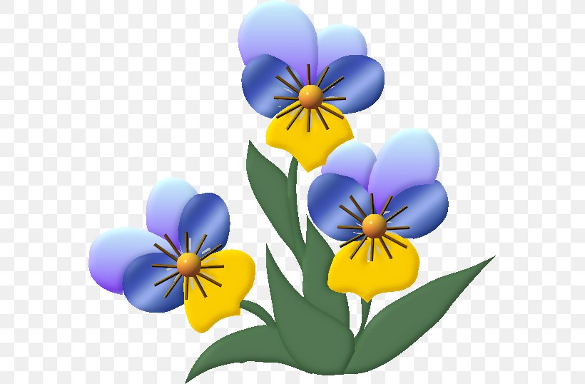 Pansy Flower Drawing Clip Art, PNG, 571x538px, Pansy, Blume, Crocus, Drawing, Flower Download Free