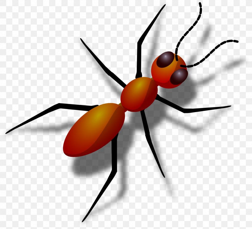 Ant Clip Art, PNG, 1920x1749px, Ant, Arthropod, Black Garden Ant, Fly, Insect Download Free