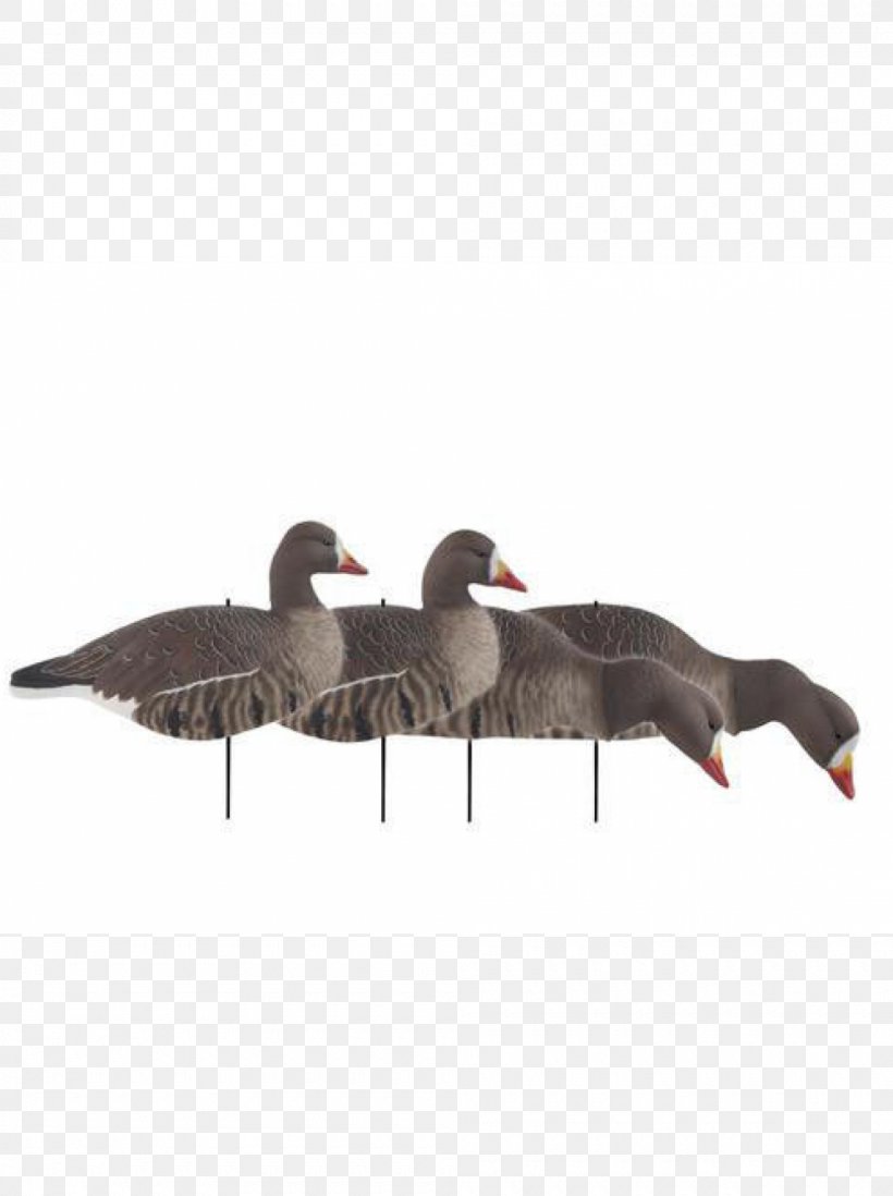 Decoy Mallard Greater White-fronted Goose Waterfowl Hunting, PNG, 1000x1340px, Decoy, Anser, Beak, Bird, Duck Download Free