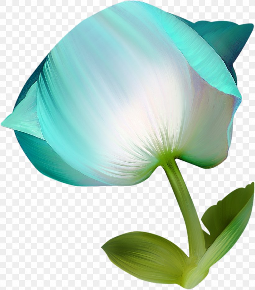 Flower Vecteur, PNG, 1056x1200px, Flower, Cut Flowers, Designer, Flowering Plant, Green Download Free