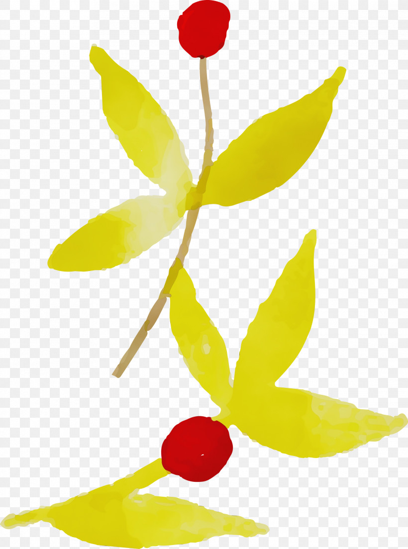 Plant Stem Leaf Petal Yellow Flora, PNG, 2228x3000px, Autumn Leaf, Biology, Flora, Fruit, Leaf Download Free