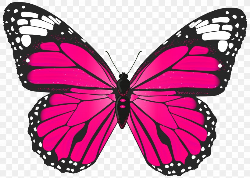 The Pink Butterfly Toy Butterfly Bush Pink Butterfly Bed & Breakfast, PNG, 8000x5708px, Butterfly, Art, Arthropod, Blog, Brush Footed Butterfly Download Free