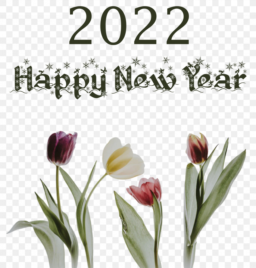 2022 Happy New Year 2022 New Year 2022, PNG, 2861x3000px, Plant Stem, Biology, Cut Flowers, Flower, Meter Download Free