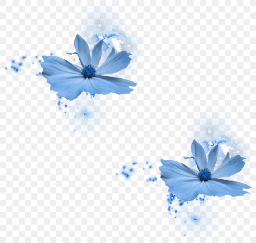 Blue Rose Blue Flower, PNG, 799x779px, Blue, Blue Flower, Blue Rose, Butterfly, Color Download Free
