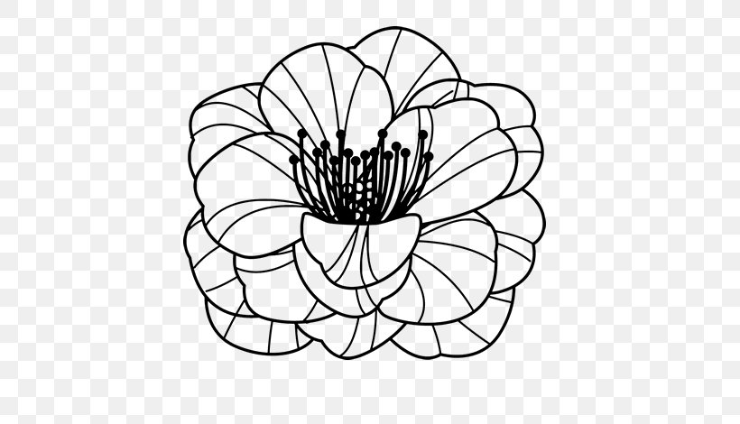 Common Poppy Coloring Book Flower Drawing, PNG, 600x470px, Common Poppy, Area, Artwork, Black And White, Color Download Free