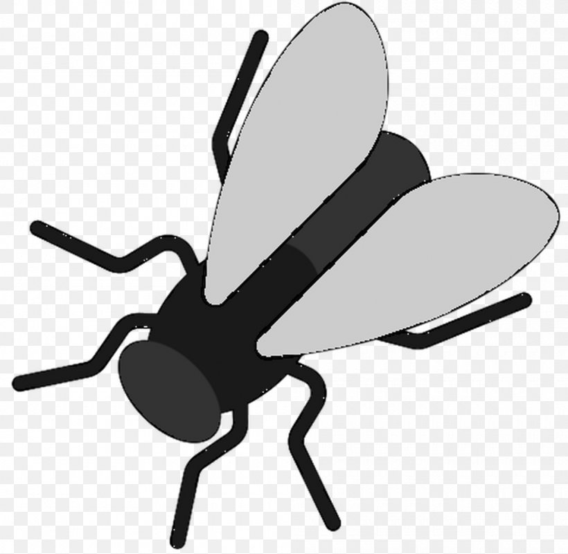 Insect Clip Art Butterfly M / 0d Pollinator, PNG, 1000x977px, Insect, Black White M, Blackandwhite, Butterfly, Cartoon Download Free