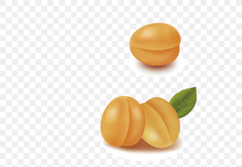 Apricot, PNG, 567x567px, Apricot, Eating, Food, Fruit, Orange Download Free