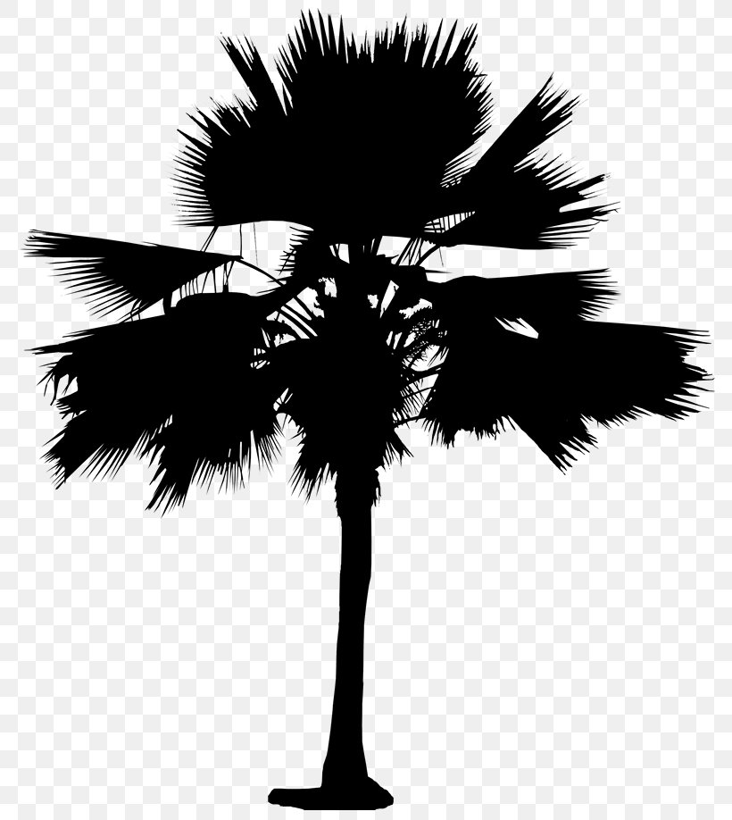 Asian Palmyra Palm Date Palm Leaf Palm Trees Silhouette, PNG, 792x918px, Asian Palmyra Palm, Arecales, Blackandwhite, Borassus, Borassus Flabellifer Download Free