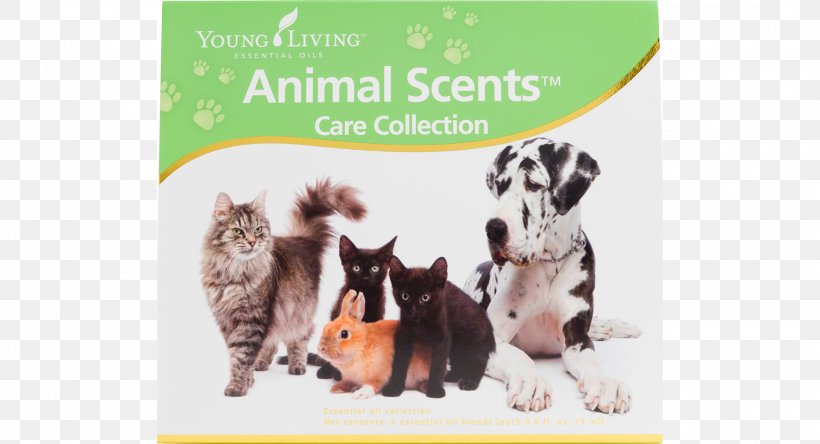 Dog Pet Young Living Veterinarian Clinique Vétérinaire, PNG, 1920x1040px, Dog, Animal, Aromatherapy, Brand, Essential Oil Download Free