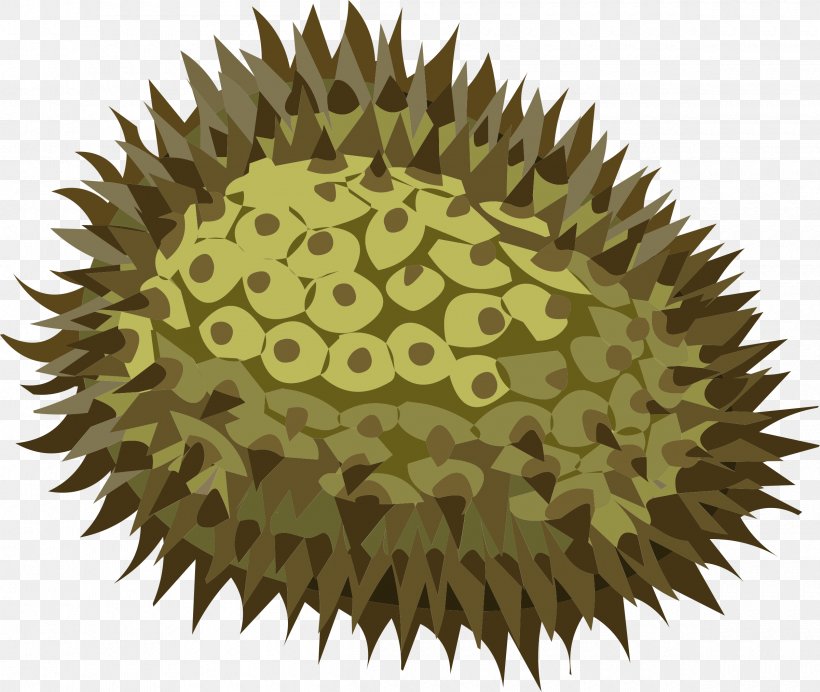 Durio Zibethinus Fruit Clip Art, PNG, 2400x2027px, Durio Zibethinus, Durian, Food, Fruit, Ingredient Download Free