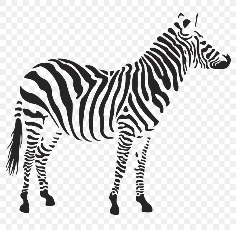 Zebra Clip Art, PNG, 800x800px, Horse, Black And White, Horse Like Mammal, Image File Formats, Mammal Download Free