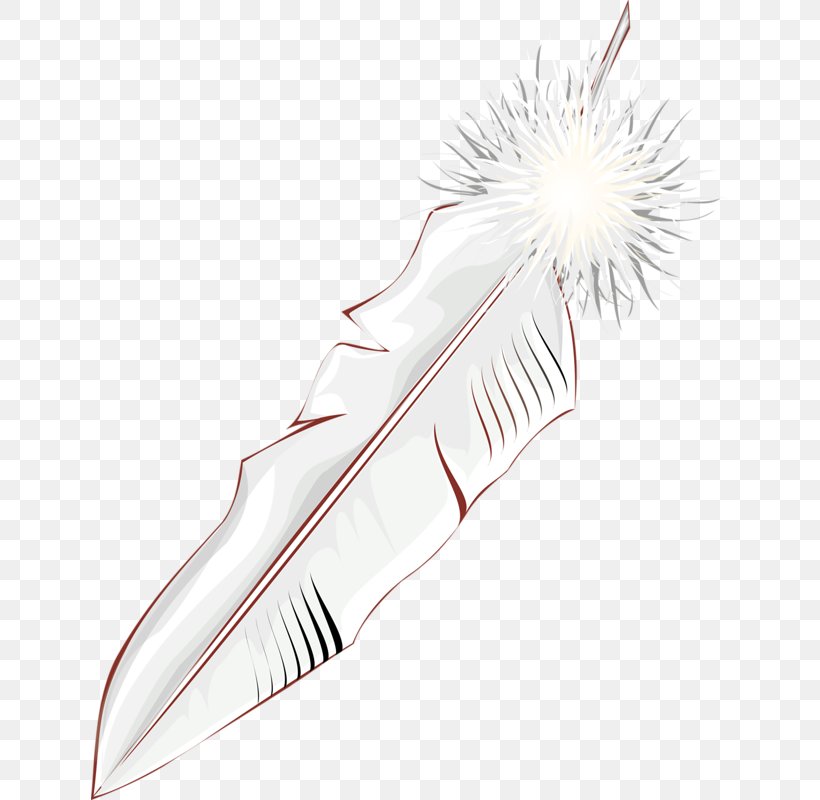 Bird White Feather Wing, PNG, 638x800px, Bird, Designer, Feather, Gratis, Resource Download Free