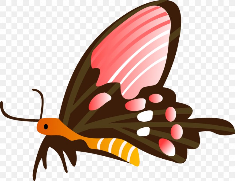 Butterfly Vector Graphics Illustration Drawing, PNG, 883x680px, Butterfly, Animal Figure, Brushfooted Butterfly, Coreldraw, Drawing Download Free