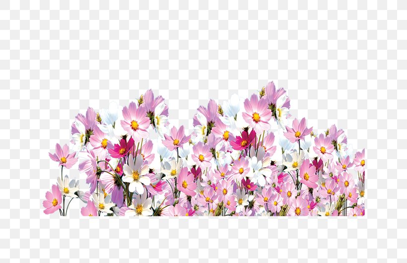 Floral Design Cut Flowers Spring, PNG, 650x529px, Floral Design, Blossom, Branch, Cherry, Cherry Blossom Download Free