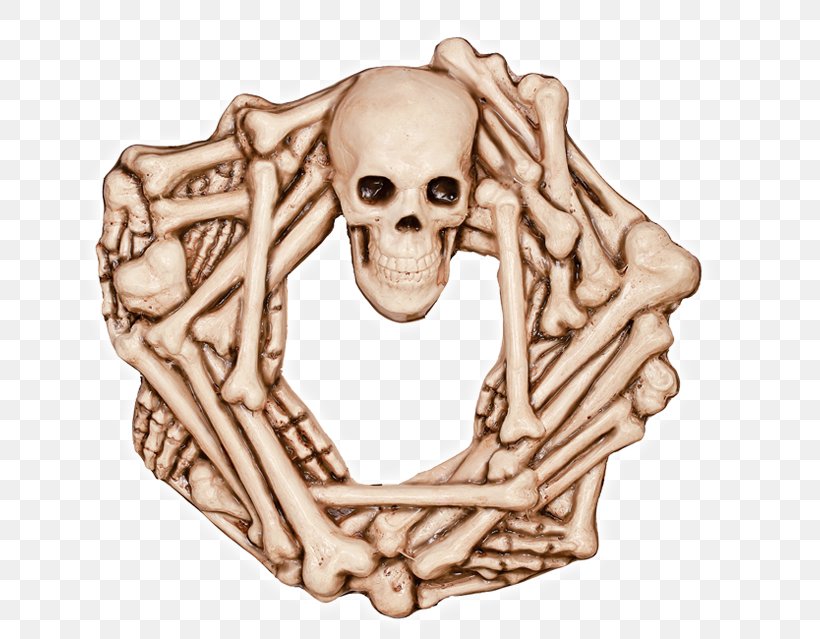 Skeleton Jaw Skull Bone Wreath, PNG, 650x639px, Skeleton, Bone, Head, Jaw, Skull Download Free
