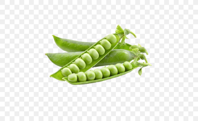 Snap Pea Food Thiamine, PNG, 500x500px, Snap Pea, Bean, Commodity, Food, Fruit Download Free