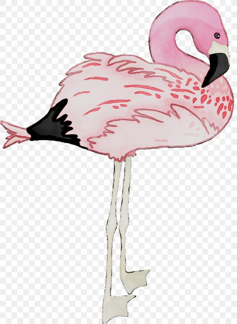 Beak Feather Neck Pink M, PNG, 1062x1451px, Beak, Bird, Feather, Flamingo, Greater Flamingo Download Free