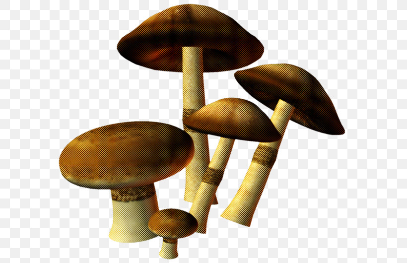 Mushroom Edible Mushroom Agaricaceae Agaricus Agaricomycetes, PNG, 600x530px, Mushroom, Agaricaceae, Agaricomycetes, Agaricus, Bolete Download Free
