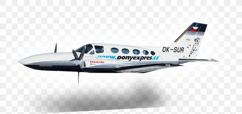 Transport Industry Service Light Aircraft, PNG, 1186x559px, Transport, Aerospace Engineering, Air Travel, Aircraft, Aircraft Engine Download Free
