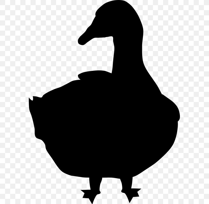 Goose Silhouette Bird Image, PNG, 593x800px, Goose, American Black Duck, Animal, Beak, Bird Download Free