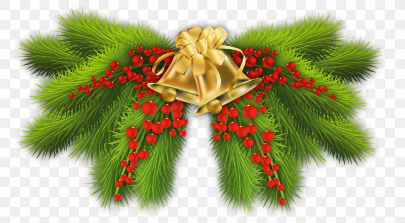 Pine Branch Christmas Tree Christmas Decoration, PNG, 1235x683px, Christmas, Branch, Christmas And Holiday Season, Christmas Card, Christmas Decoration Download Free