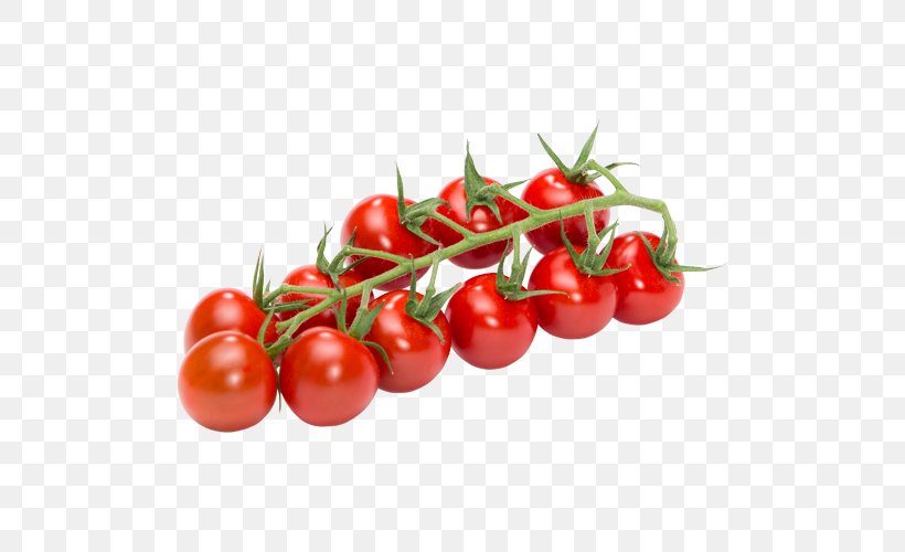Plum Tomato Vegetable Campari Tomato Cherry Tomato Bush Tomato, PNG, 500x500px, Plum Tomato, Bush Tomato, Campari Tomato, Cauliflower, Cherry Download Free
