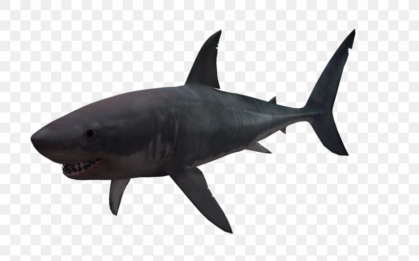 Great White Shark 3D Computer Graphics, PNG, 1200x749px, 3d Computer Graphics, Shark, Animal, Animation, Cartilaginous Fish Download Free