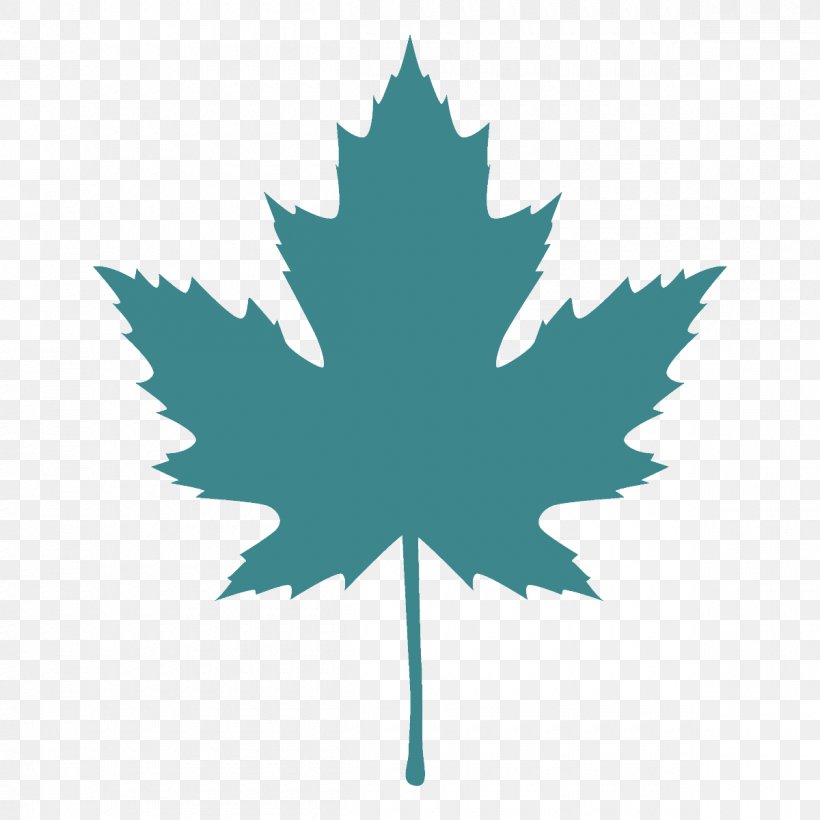 Maple Leaf, PNG, 1200x1200px, Leaf, Maple, Maple Leaf, Plane, Plant Download Free
