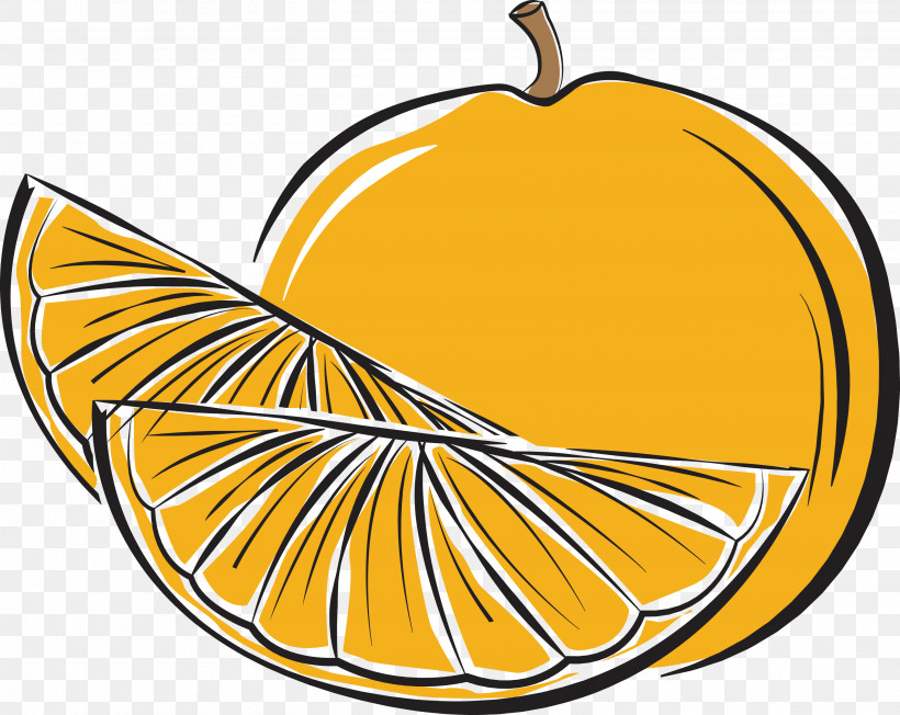 Pumpkin, PNG, 3121x2482px, Pumpkin, Apple, Commodity, Line, Meter Download Free