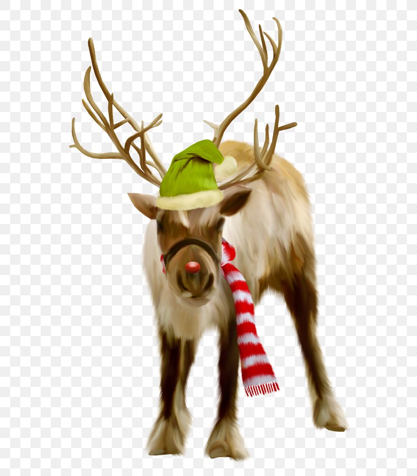 Reindeer Clip Art, PNG, 600x935px, Reindeer, Antler, Christmas, Christmas Ornament, Deer Download Free