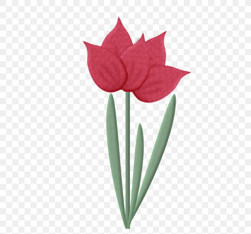 Tulip Cut Flowers, PNG, 501x764px, Tulip, Bayan Mod, Blog, Blume, Cut Flowers Download Free