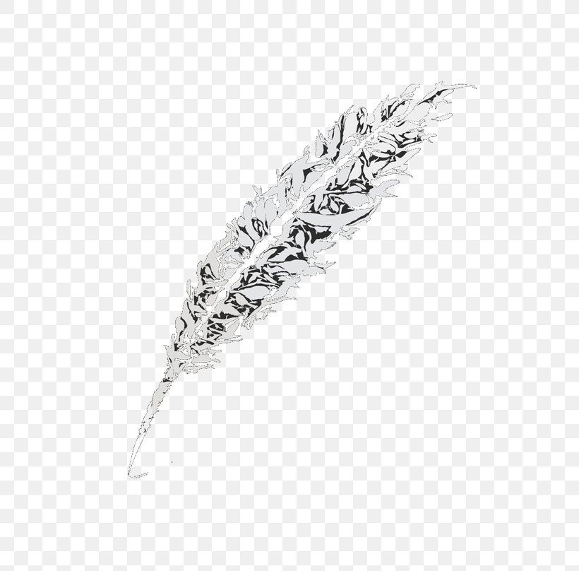 White Black Feather Pattern, PNG, 650x808px, White, Black, Black And White, Feather, Material Download Free