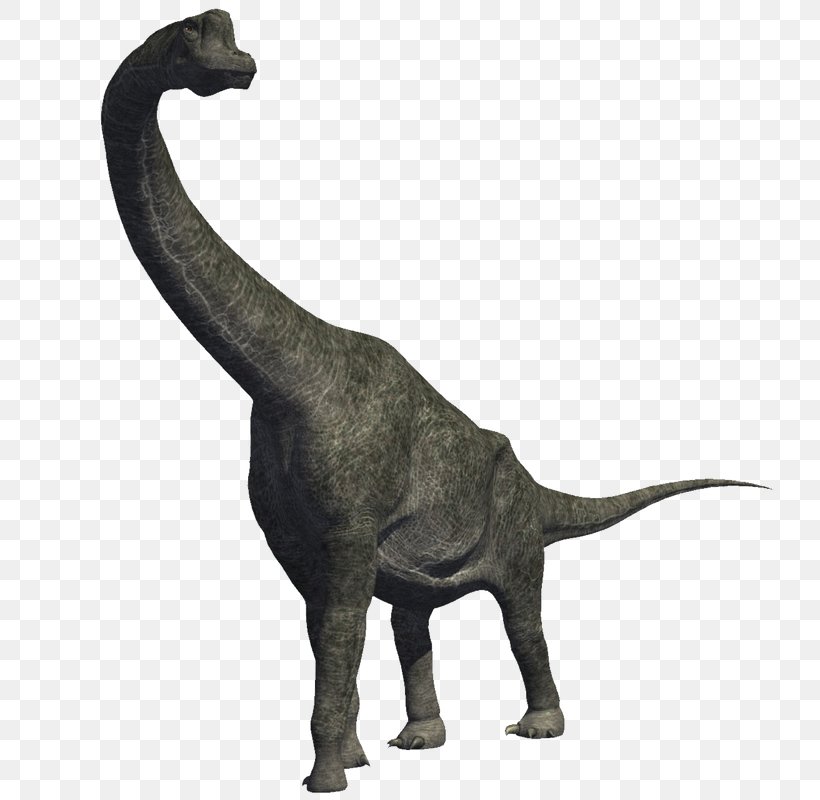 Brachiosaurus Diplodocus Carnivores: Dinosaur Hunter Sauropoda, PNG, 800x800px, Brachiosaurus, Allosaurus, Android, Animal Figure, Argentinosaurus Download Free