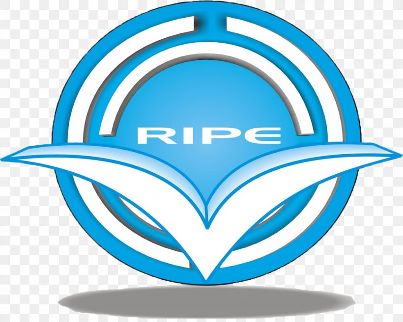 RIPE CONSULTING SERVICES PVT LTD Mogappair Consultant Private Limited Company, PNG, 1000x800px, Consultant, Area, Artwork, Blue, Brand Download Free