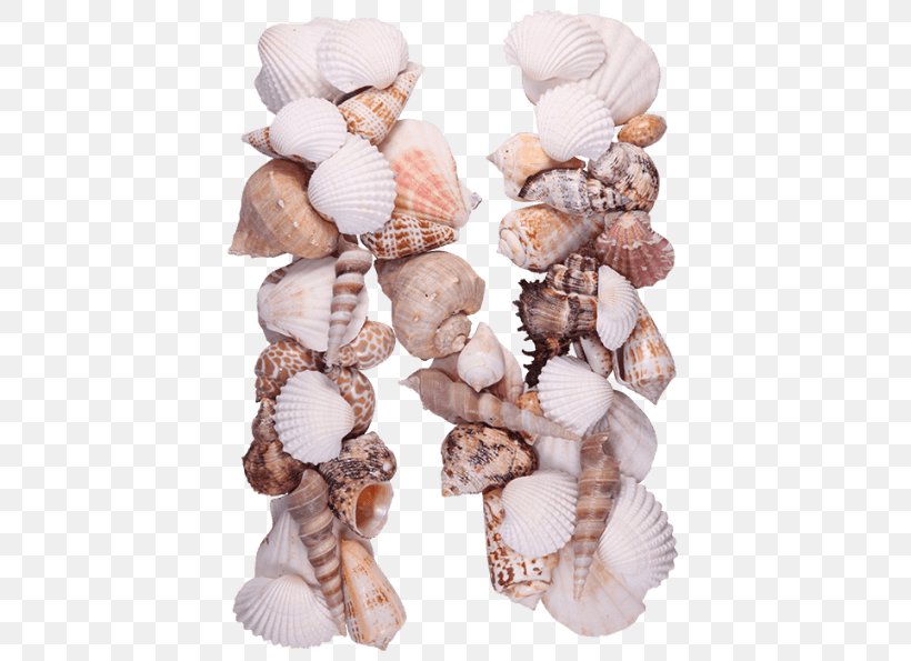 Seashell Letter Conchology Sea Glass Beach, PNG, 595x595px, Seashell, Alphabet, Beach, Coast, Conchology Download Free